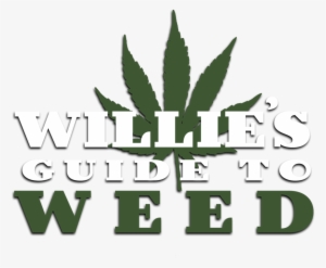 Williesguide 2 - Portable Network Graphics #4355035