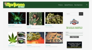 Previous - Pure Thc #4355103