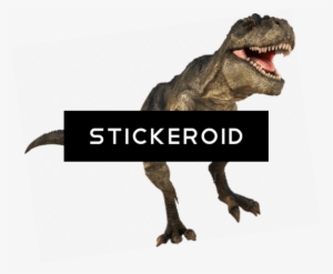 T-rex - Nhm Shop Museum T. Rex Melamine Plate #4356174