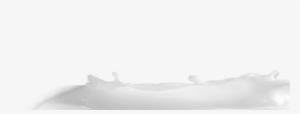 Milk - Splash De Lait Png #4356276