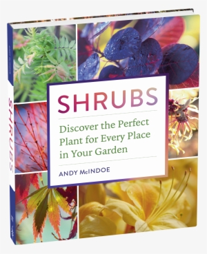 Cover - Shrubs: Discover The Perfect Plant For Every Place #4356651