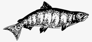 This Free Icons Png Design Of Chinook Salmon - Chinook Salmon Clipart Black And White #4358540