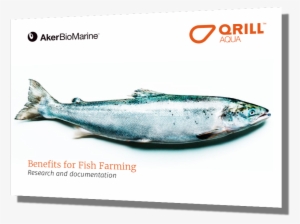 Fish Booklet - Fish #4358563 Fish Booklet - Fish #4358563