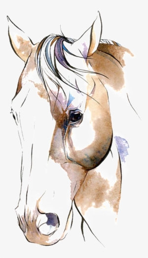 Hand Drawn Horse Avatar Png - Watercolor Horse Clip Art #4359239