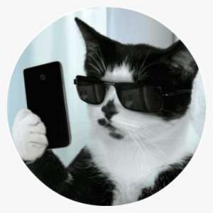 Стикер Cats By Smol - White Cat Wearing Glasses #4359553