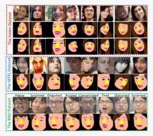 Some Results Of Face Analytics From Ifan - Collage #4360268