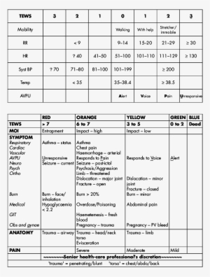 Cape Triage Group Triage System - Cape Triage Group #4360619