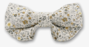 Paisley #4361374
