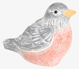 Robin - European Robin #4362514