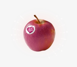 Pinklady Apple - Pink Lady Apples #4362577