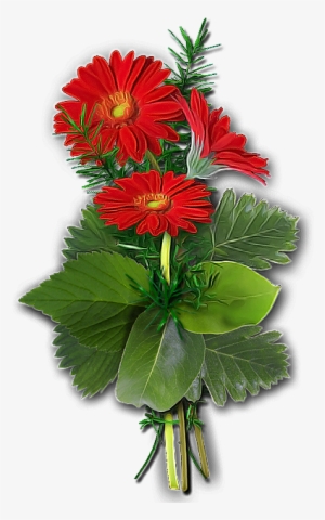 Flores Png - Cactus #4362944