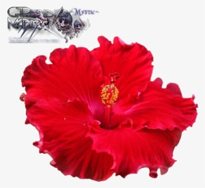 Liked Like Share - Carunke Hibiscus Flower Petal Veiner & Cutter Cake #4364284