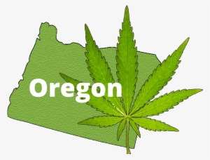 Image Result For Oregon Marijuana - Oregon Marijuana #4364380