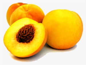 Peach - Clingstone Peach #4365244