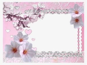 Peach Blossom Border - Photograph #4365666