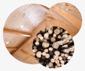 Aspen Wall Wood #4366208