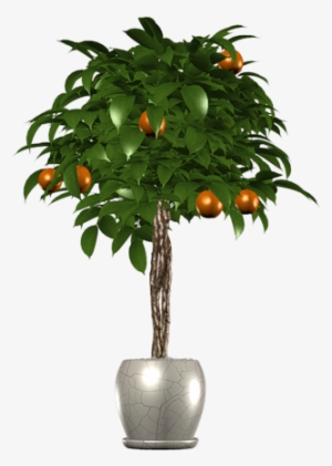Tree In Pot - Peach #4366284