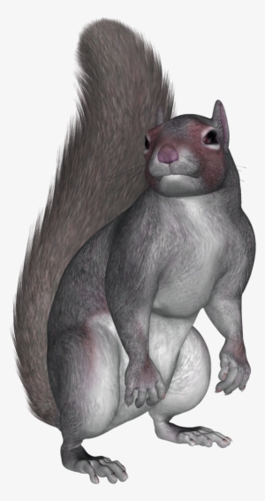 Download For Free Squirrel Png In High Resolution - Sitting Squirrels #4366801