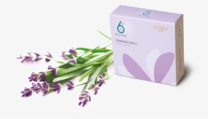 Refill-lavender #4367100