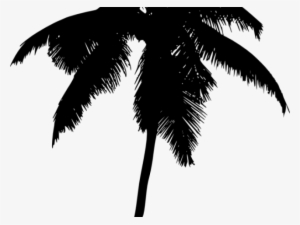Palm Tree Silhouette Png - Palma De Cera Vector #4367209