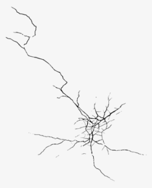 Floor Cracks Png - Cracks On Floor Png #4367683