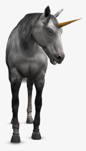 Requeriments - Stallion #4368245