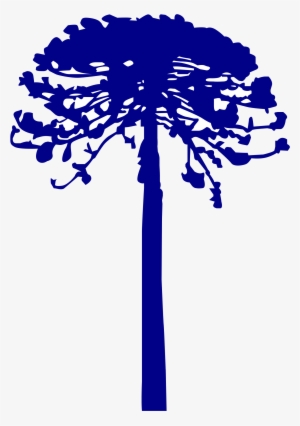 Open - Araucaria Vector #4370203