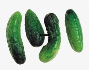 Cucumbers Cucumber - Cucumber #4372076