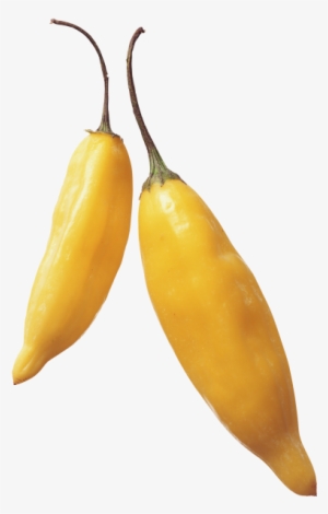 Yellow Hot Pepper - Portable Network Graphics #4373268