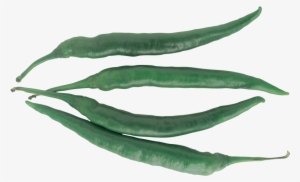 Green Pepper - Bell Pepper #4373465