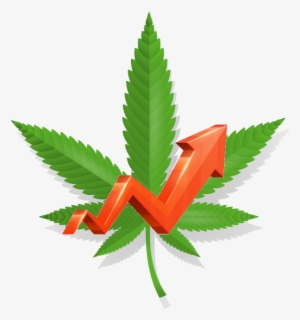 Cannabis #4373938