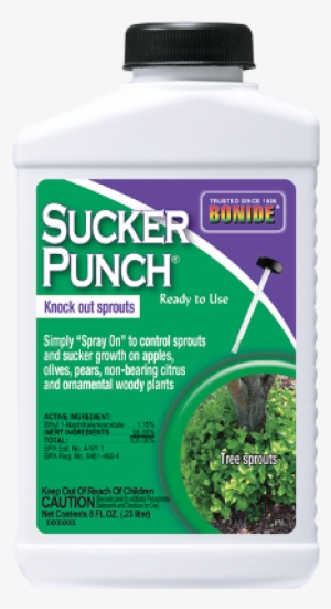 Bonide Sucker Punch Rtu, 8 Oz - Bonide Vine And Stump Killer With Applicator 8 Fl. #4374379