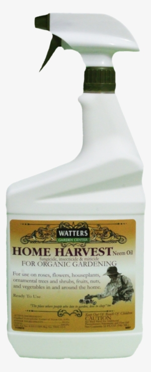 Home Harvest - Harvest #4375108