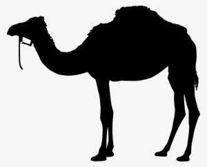 Download Png - Camel Silhouette Vector Png #4375371