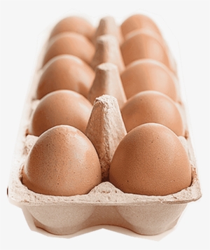 Egg Tray - Egg Carton #4375739