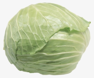 Cabbage Png Image, Download Png Image With Transparent - 包 菜 #4375885