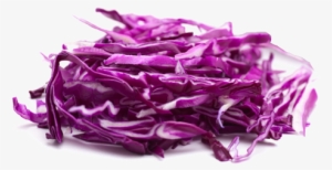 Shredded Cabbage Red #4375887