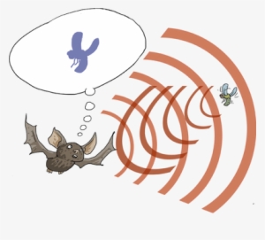 Info On Bats - Ultrasonic Hearing #4376072