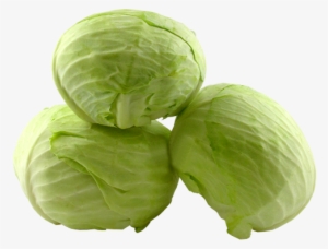 Iceburg Lettuce #4376273
