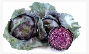 Biona Red Cabbage | Westminsterhealthstore.com #4376307