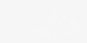 Fons Suscribete - White Png #4376318 Fons Suscribete - White Png #4376318