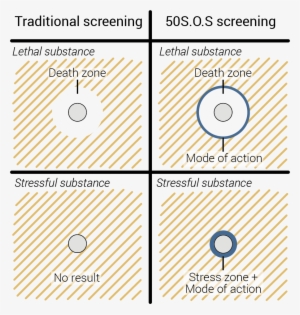 Secondly, We Have Created Cell Lines Producing Fluorescent - Circle #4376862