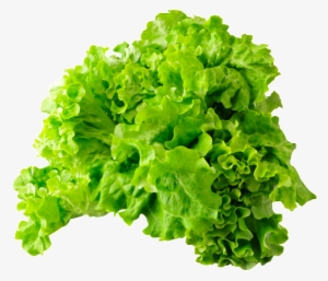 Lettuce Png - Calcite With Duftite #4378475