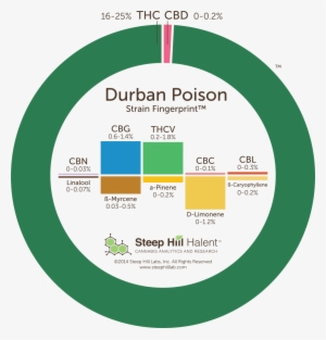 Durban Poison Cannabis Strain Fingerprint - Blue Dream Thc Percent #4378791 Durban Poison Cannabis Strain Fingerprint - Blue Dream Thc Percent #4378791