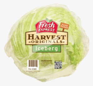 Iceberg Head Lettuce - Fresh Express Salad Kit, Apples & Cheddar #4378830