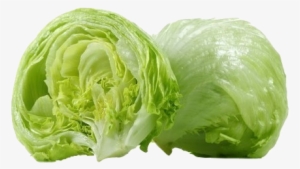 Lettuce, Iceberg - Iceberg Head Lettuce #4378876