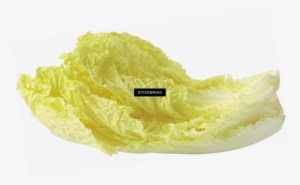 Salad Leaf - Chinese Cabbage #4379072