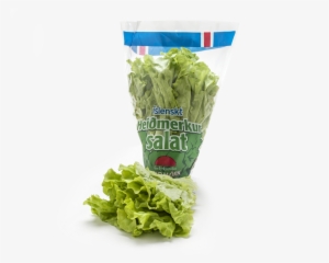 Heiðmerkur Lettuce - Lettuce #4379195