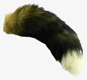 Fox Tails #4379695