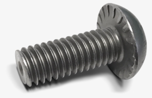 Button Head - Security #4379890